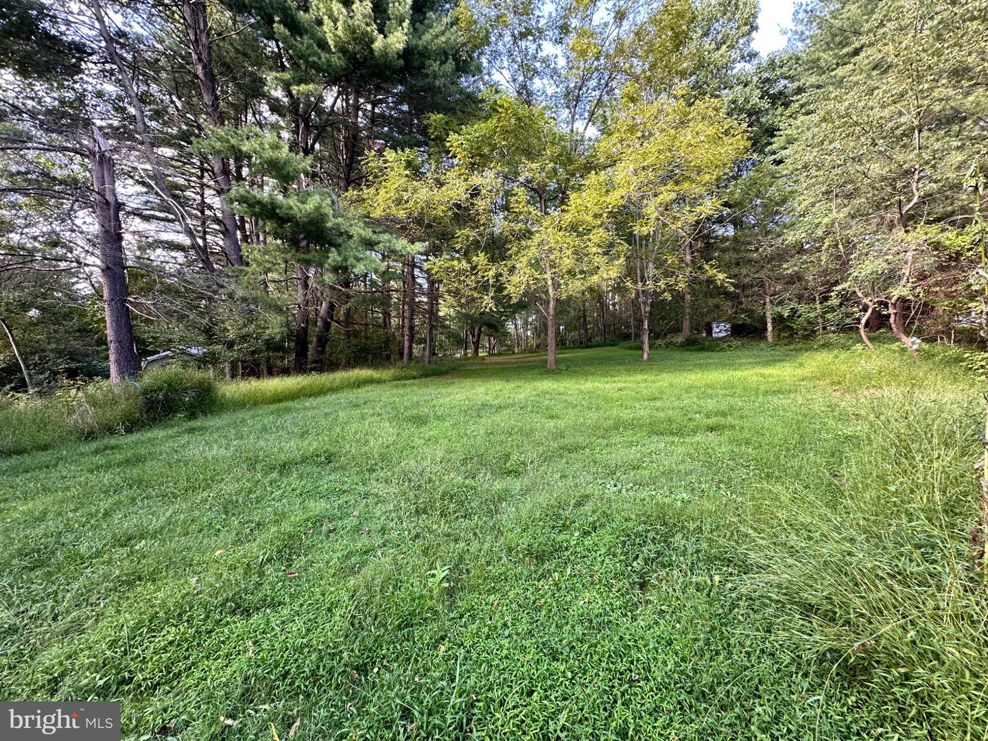 3537 Mill Green Rd Property Photo 67