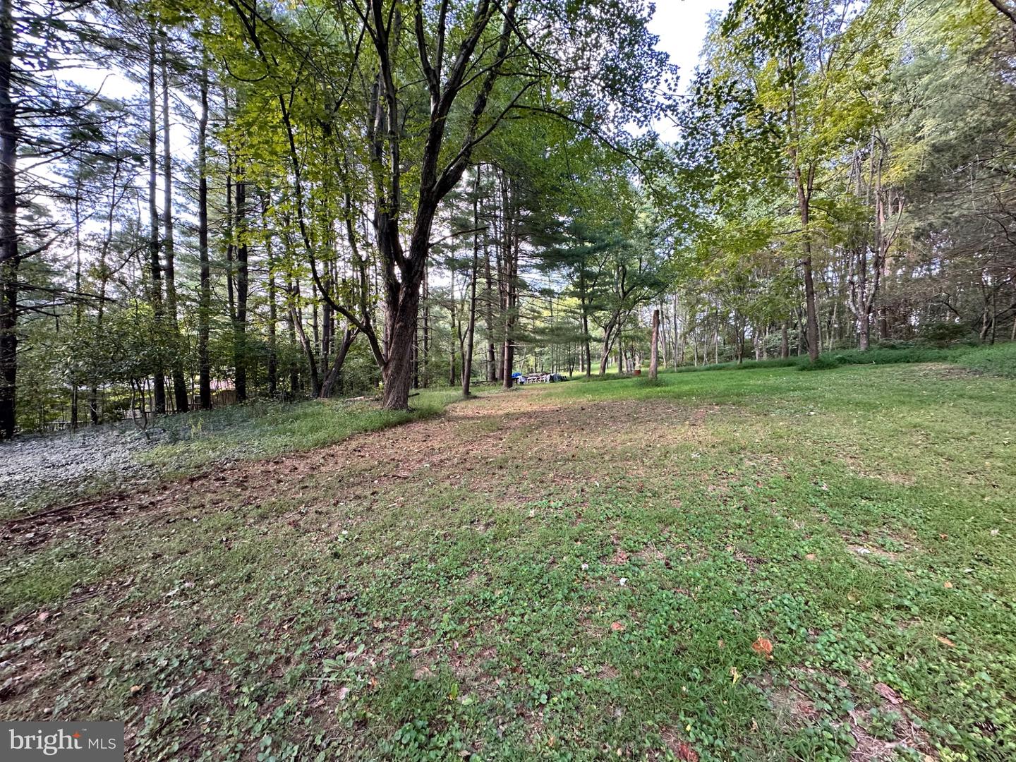 3537 Mill Green Rd Property Photo 68