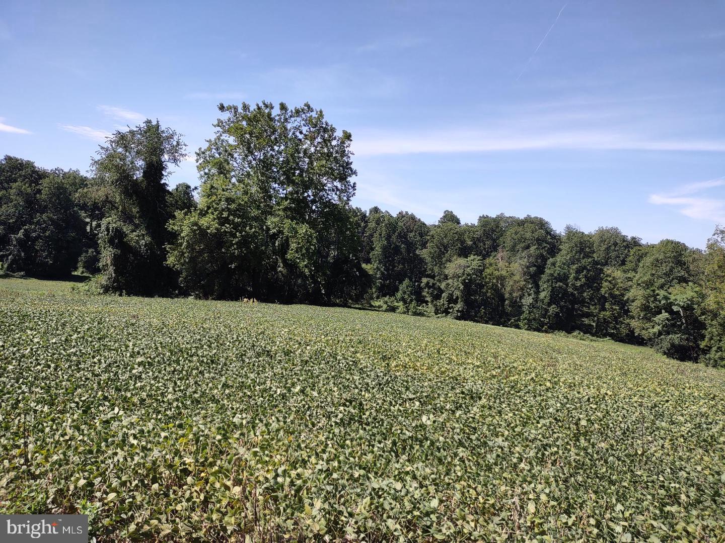 4216 Harford Creamery Rd Property Photo 1