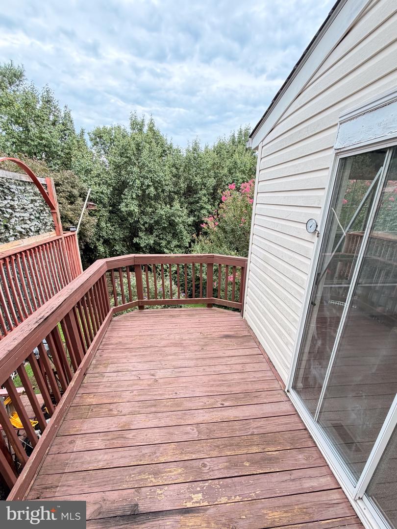 517 Doefield Ct Property Photo 6