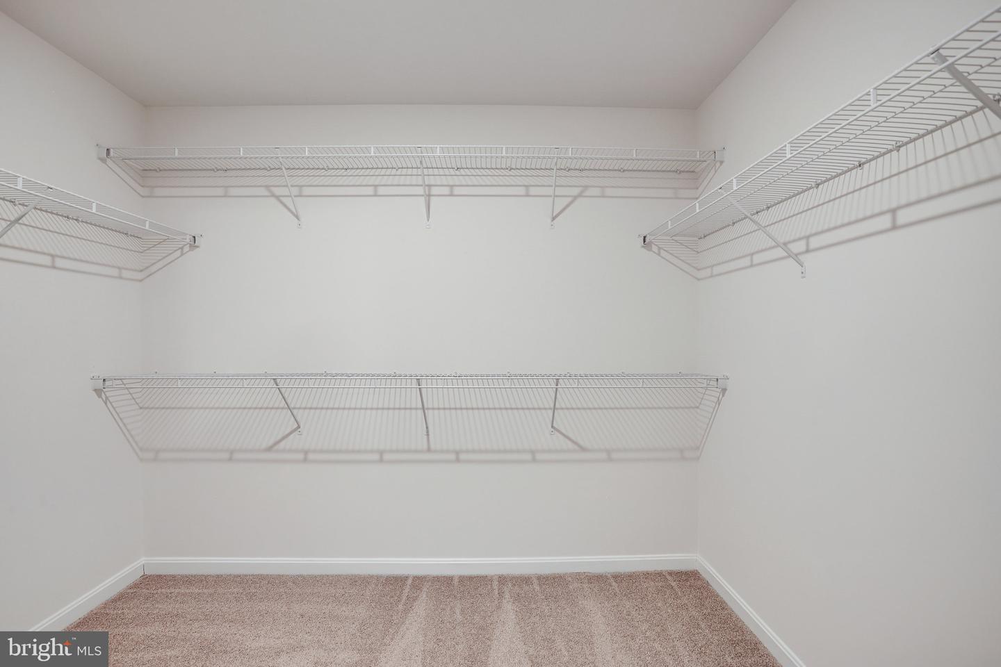 1620 Shady Tree Ct Property Photo 32