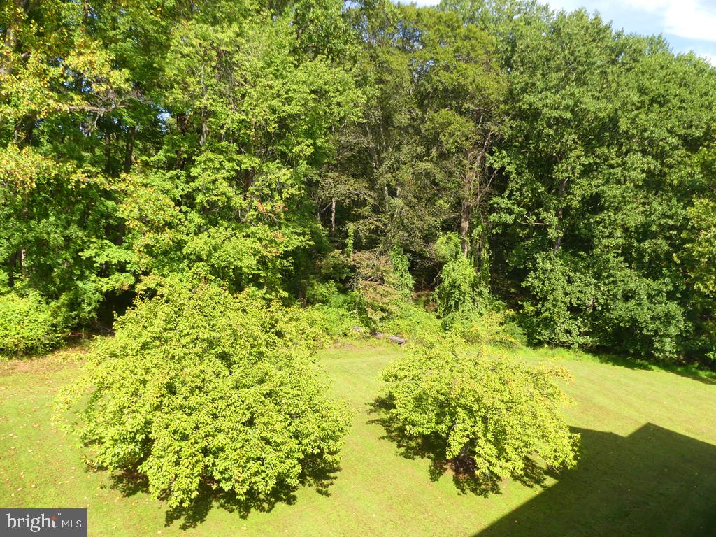 303 Tiree Ct #402 Property Photo 4