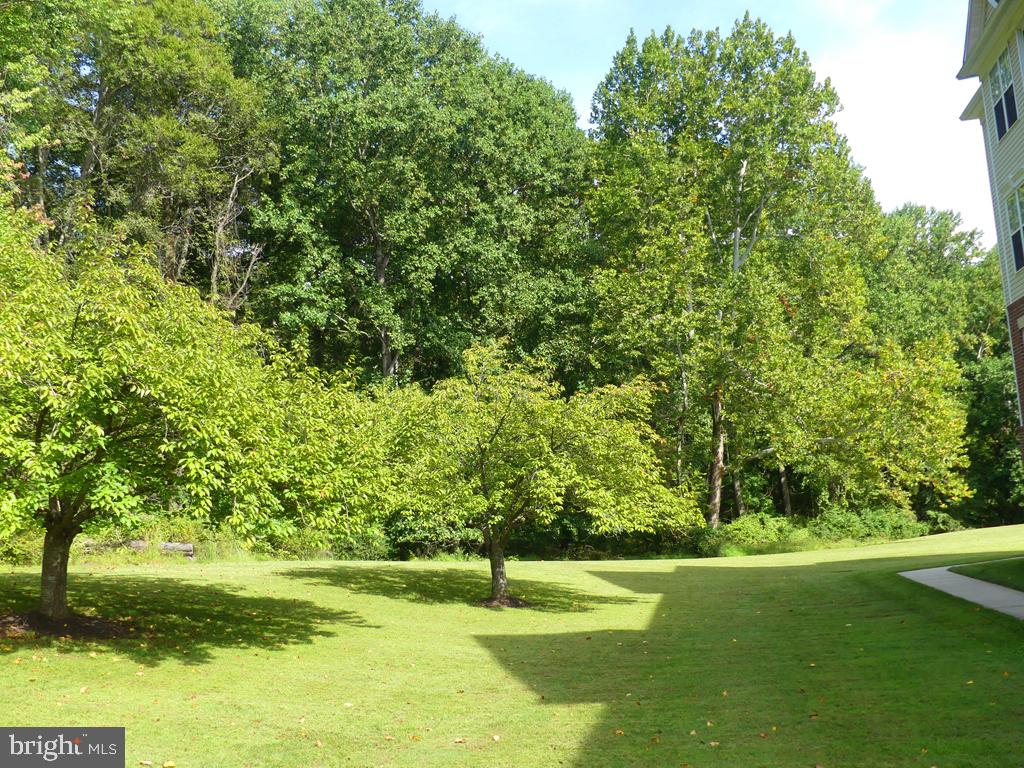 303 Tiree Ct #402 Property Photo 29