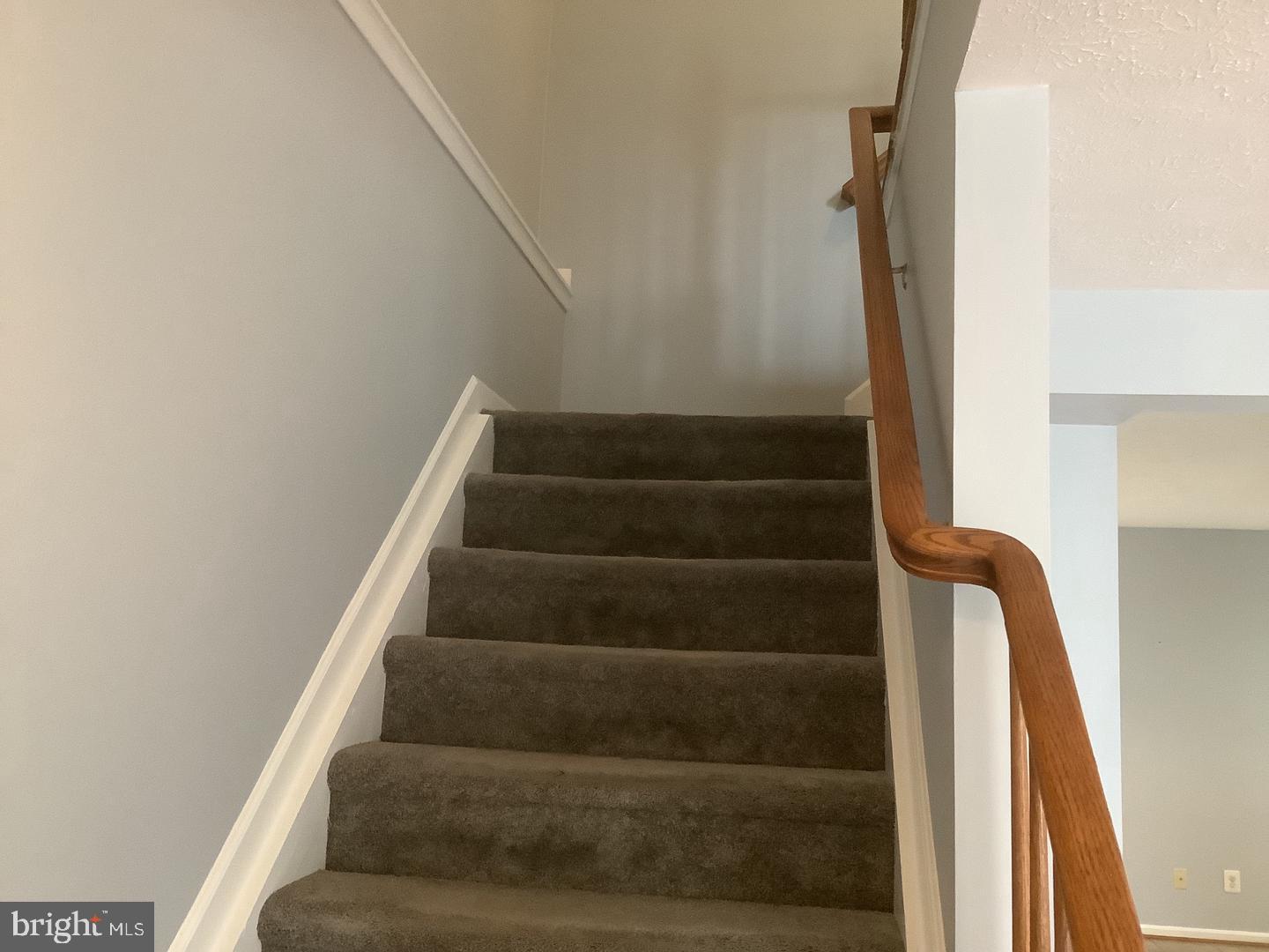 4607 Harrier Way Property Photo 20