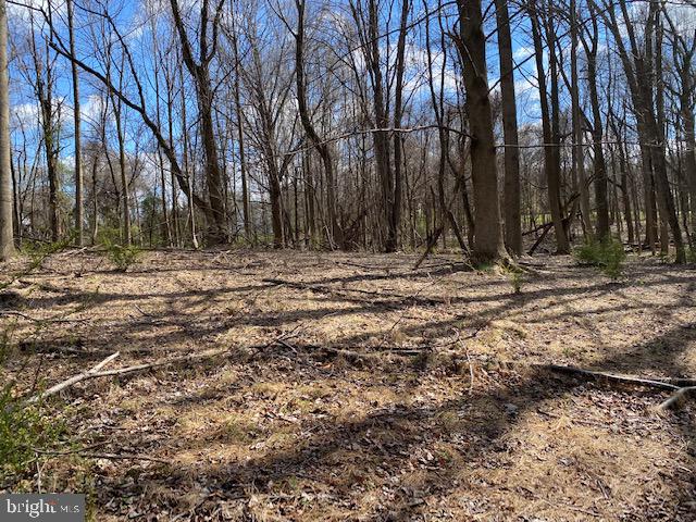 Lot 3 Linden Church Road Property Photo 2