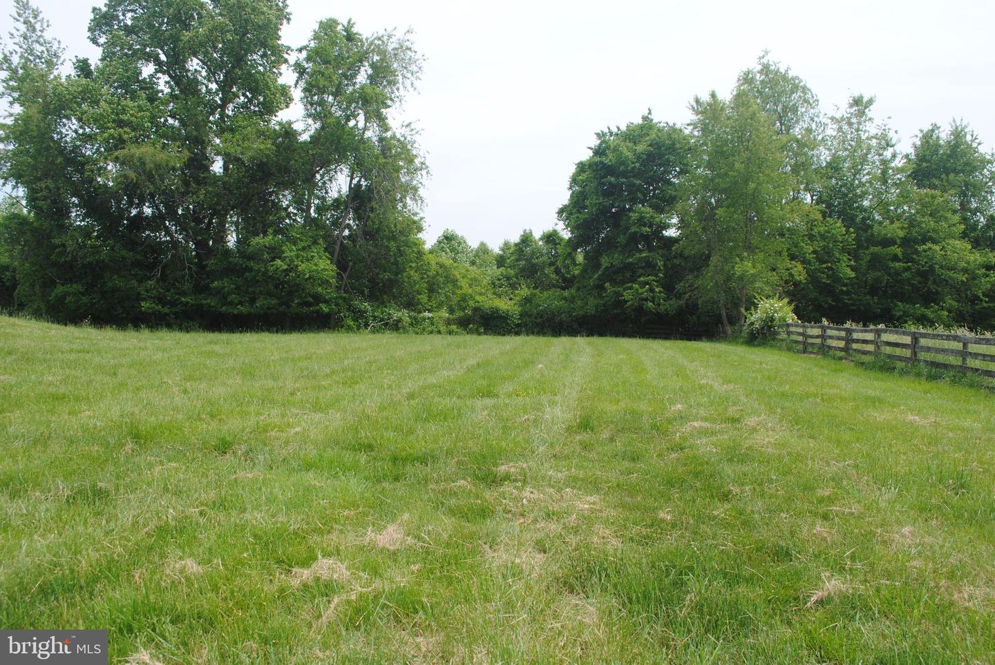 8250 White Pine Ct Property Photo 15