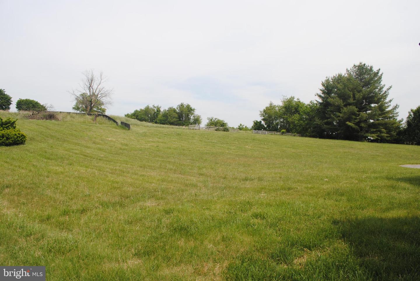 8250 White Pine Ct Property Photo 17
