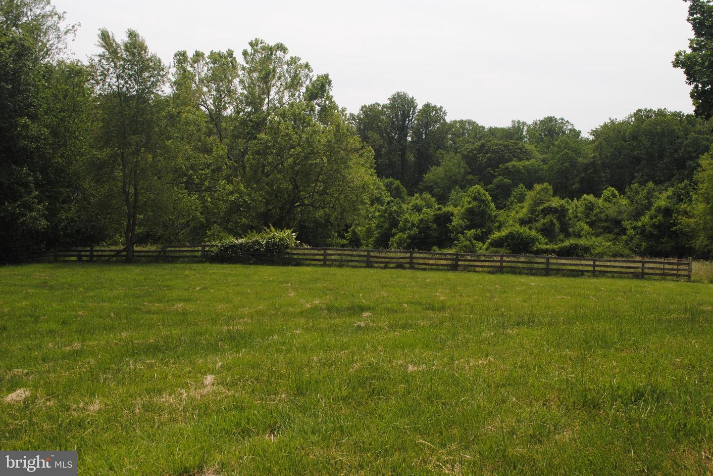 8250 White Pine Ct Property Photo 18