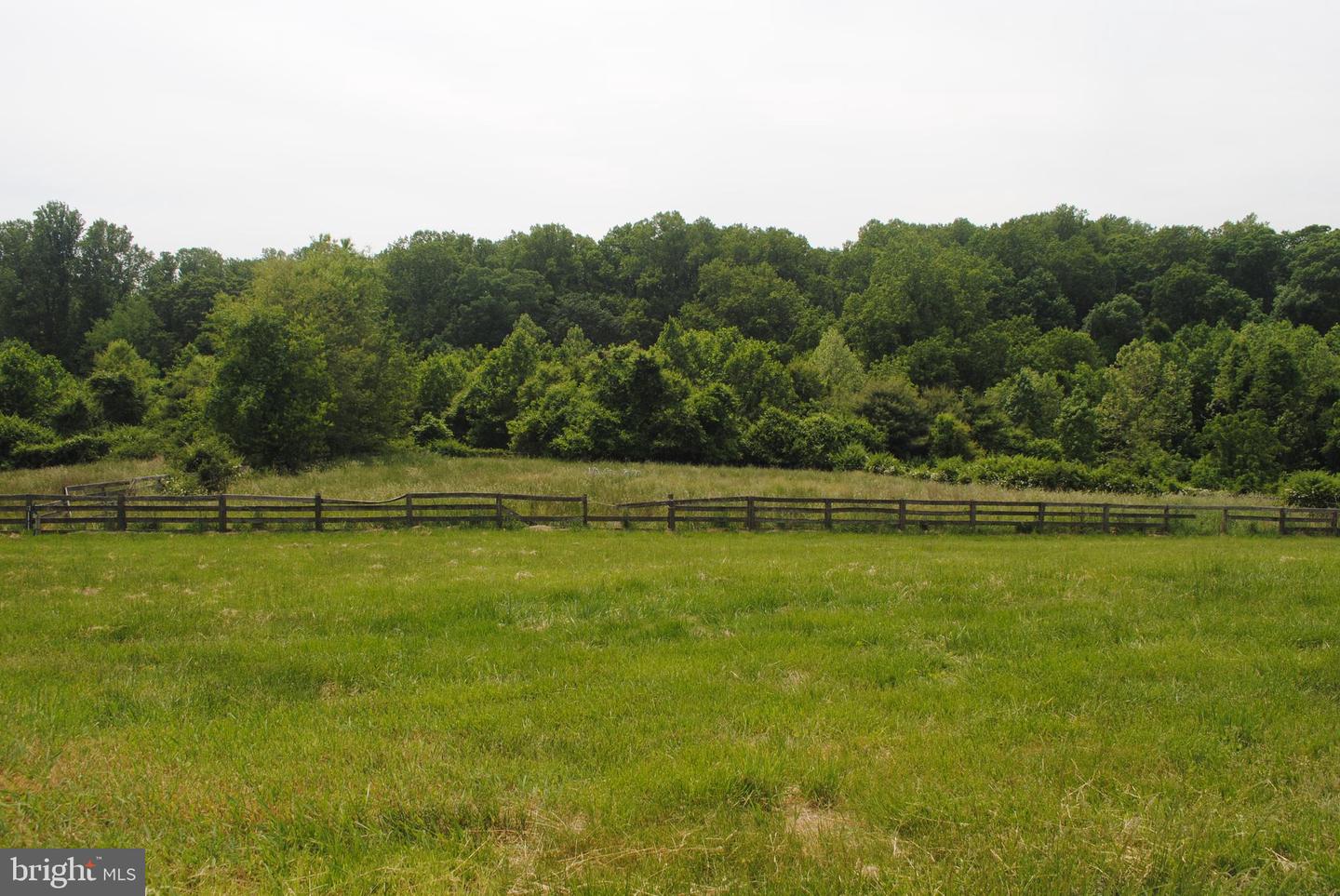 8250 White Pine Ct Property Photo 21
