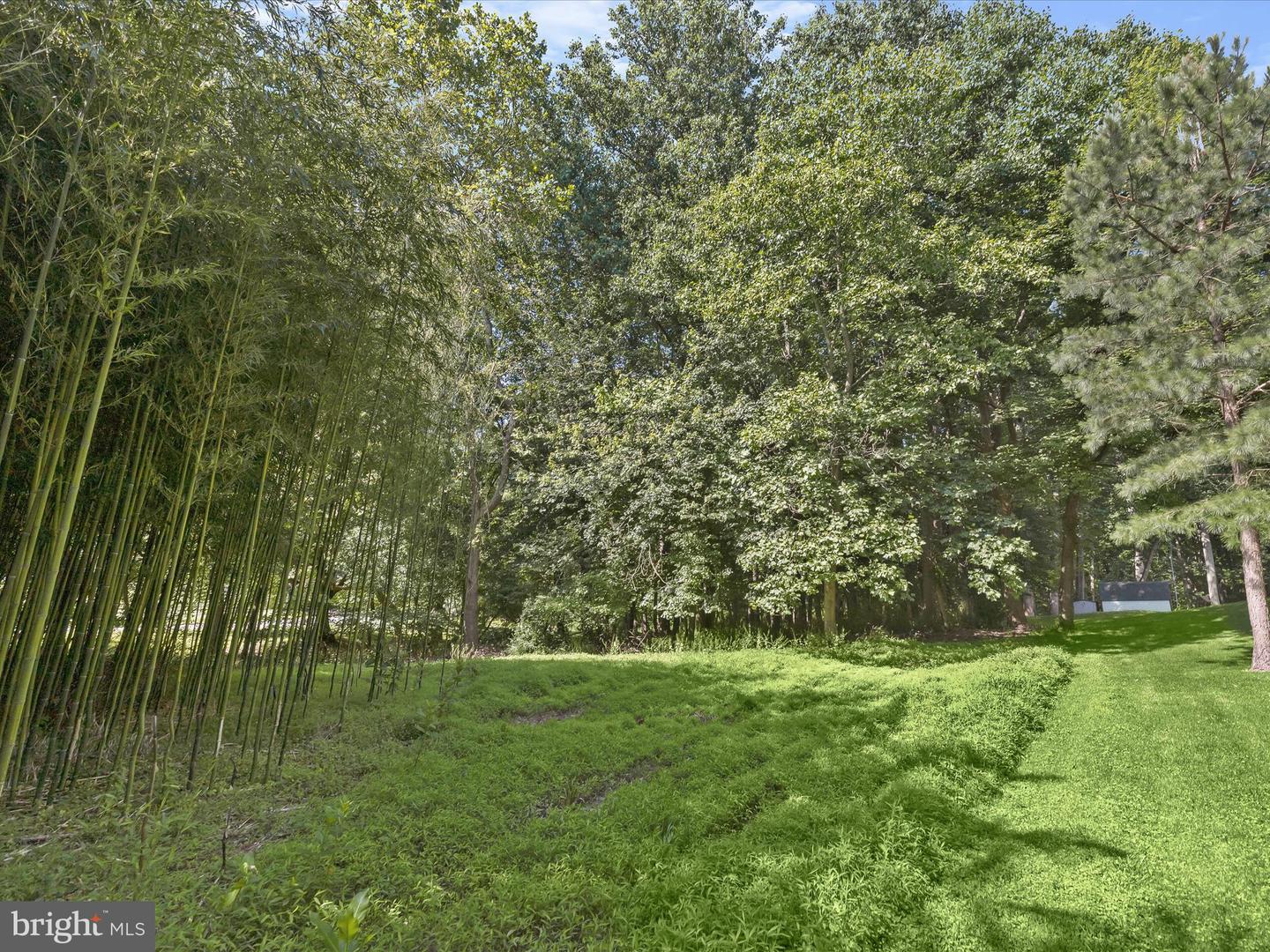 0- Evergreen Way Property Photo 4