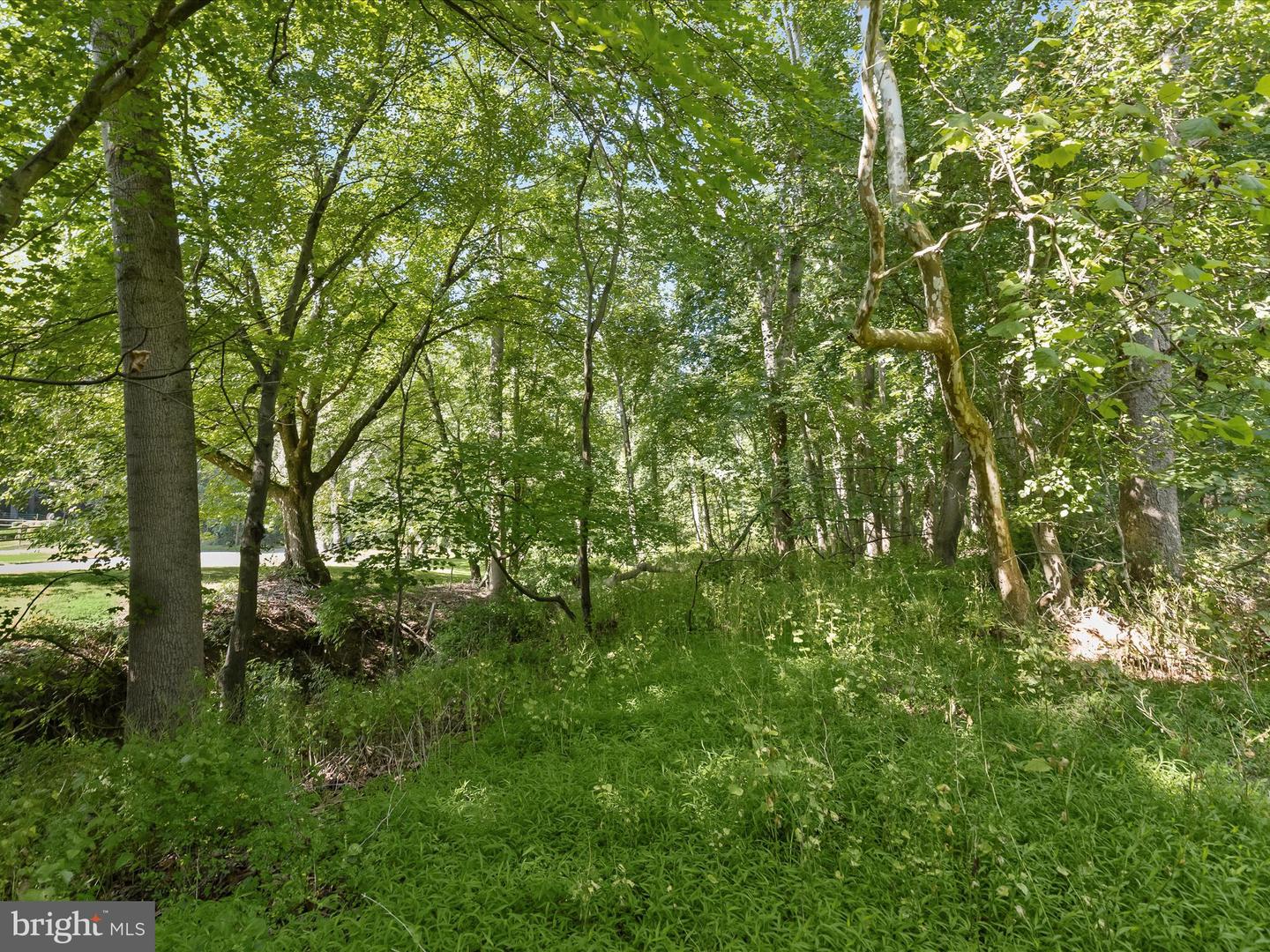 0- Evergreen Way Property Photo 6