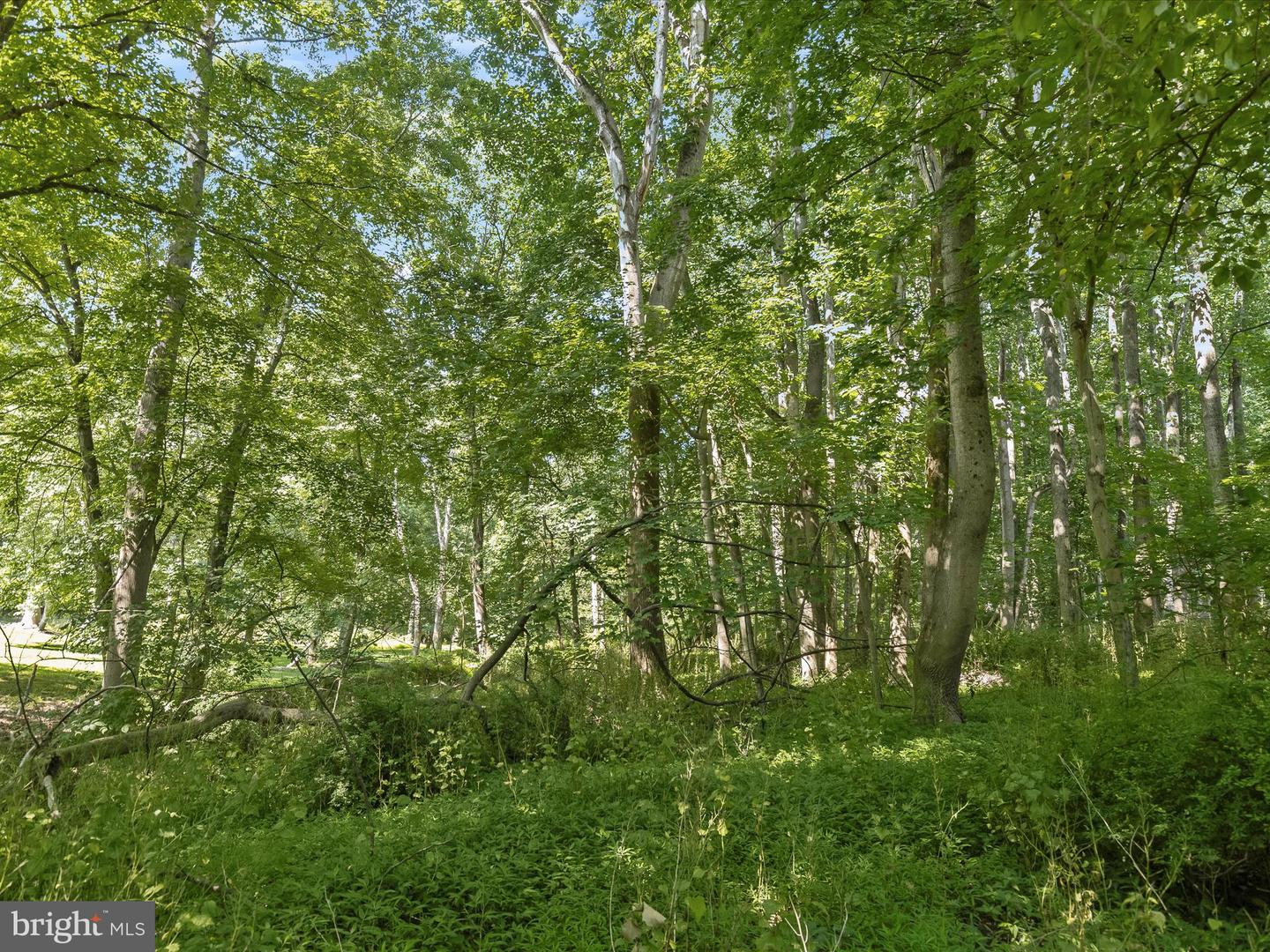 0- Evergreen Way Property Photo 7