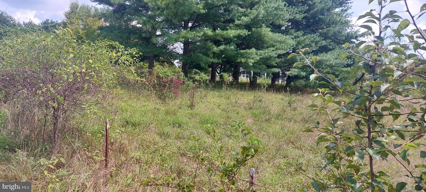 8507 Old Frederick Rd Property Photo 5