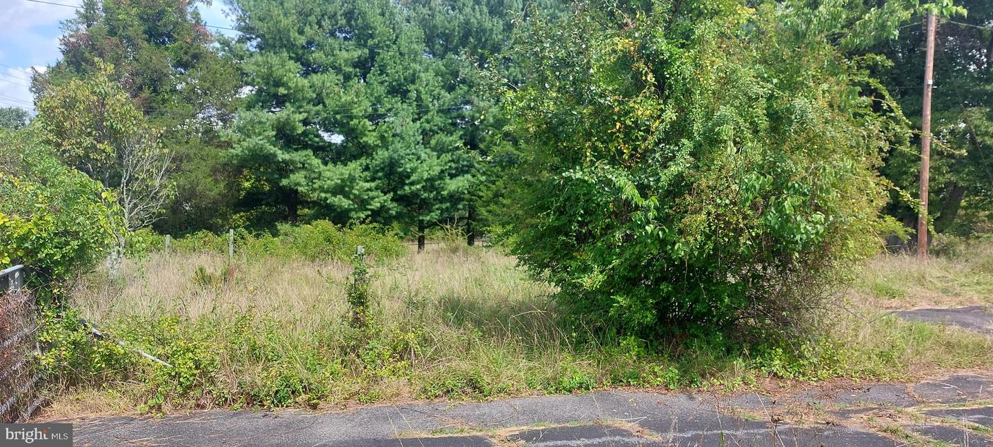 8507 Old Frederick Rd Property Photo 7