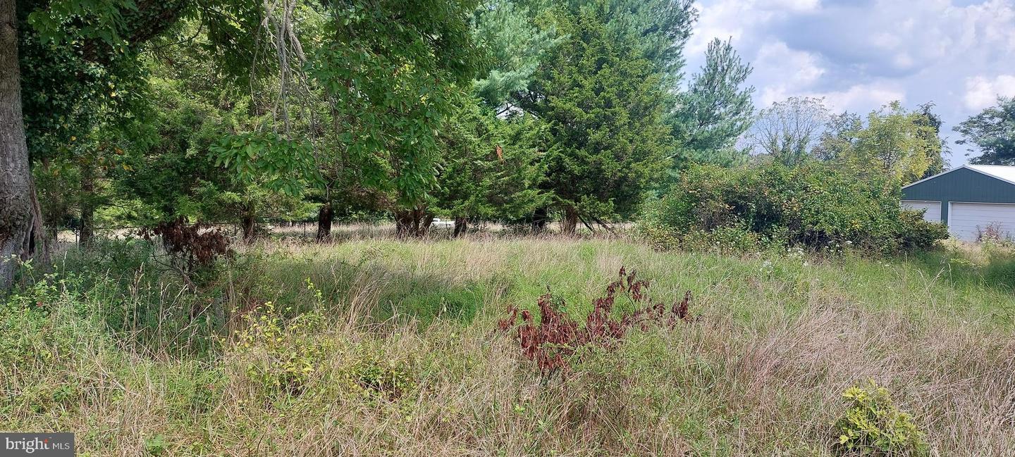 8507 Old Frederick Rd Property Photo 10