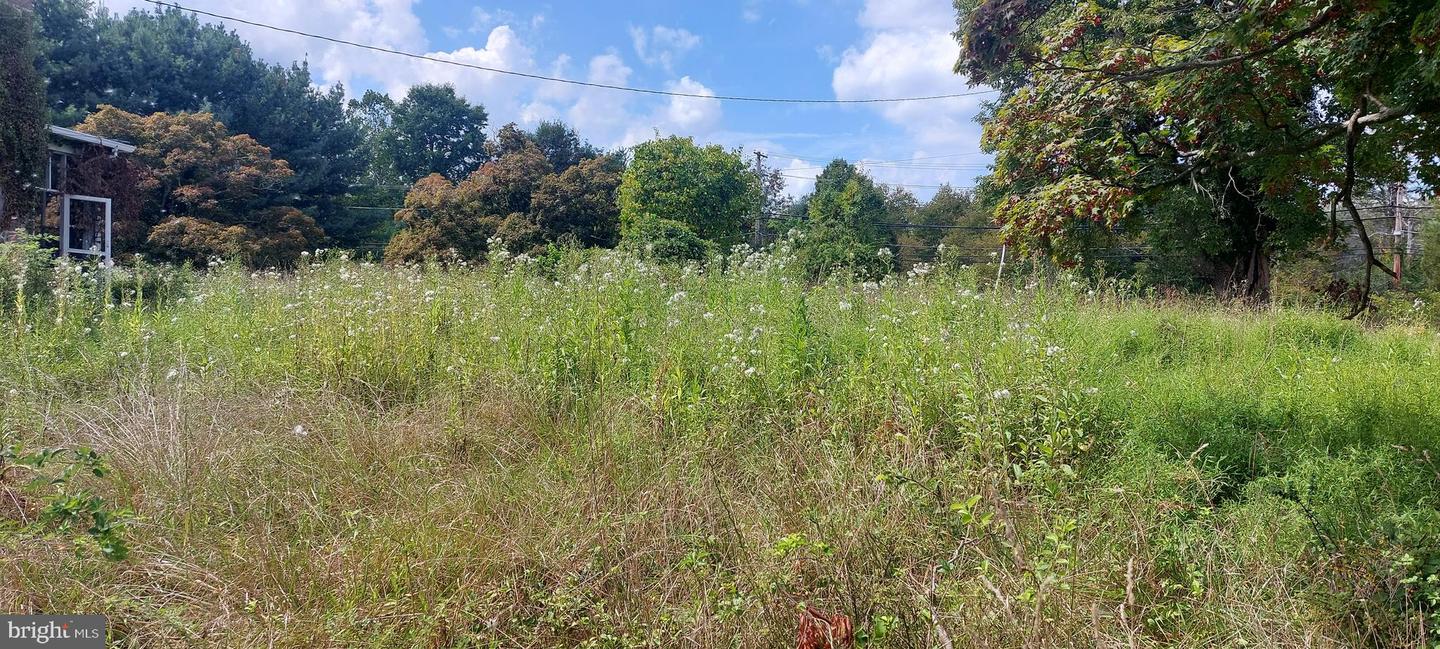 8507 Old Frederick Rd Property Photo 13