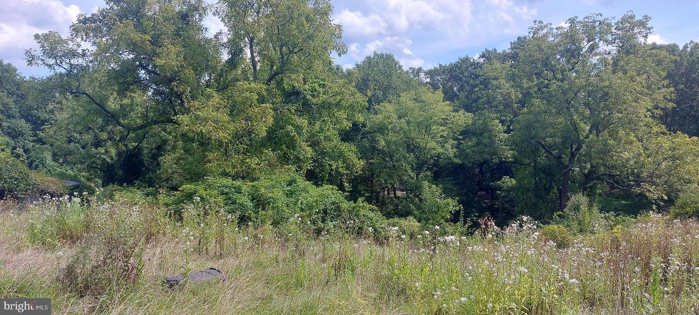 8507 Old Frederick Rd Property Photo 15