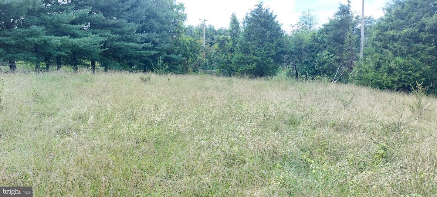 8507 Old Frederick Rd Property Photo 20