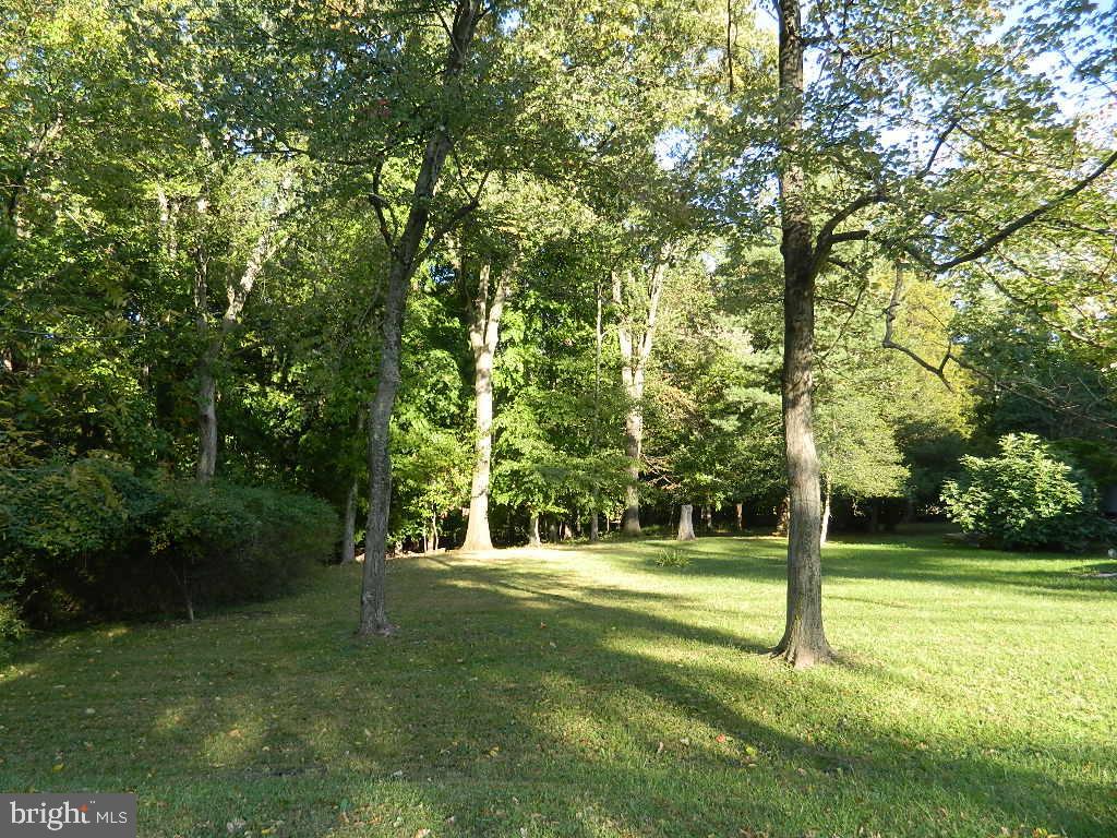5879 BONNIE VIEW LN Property Photo 1