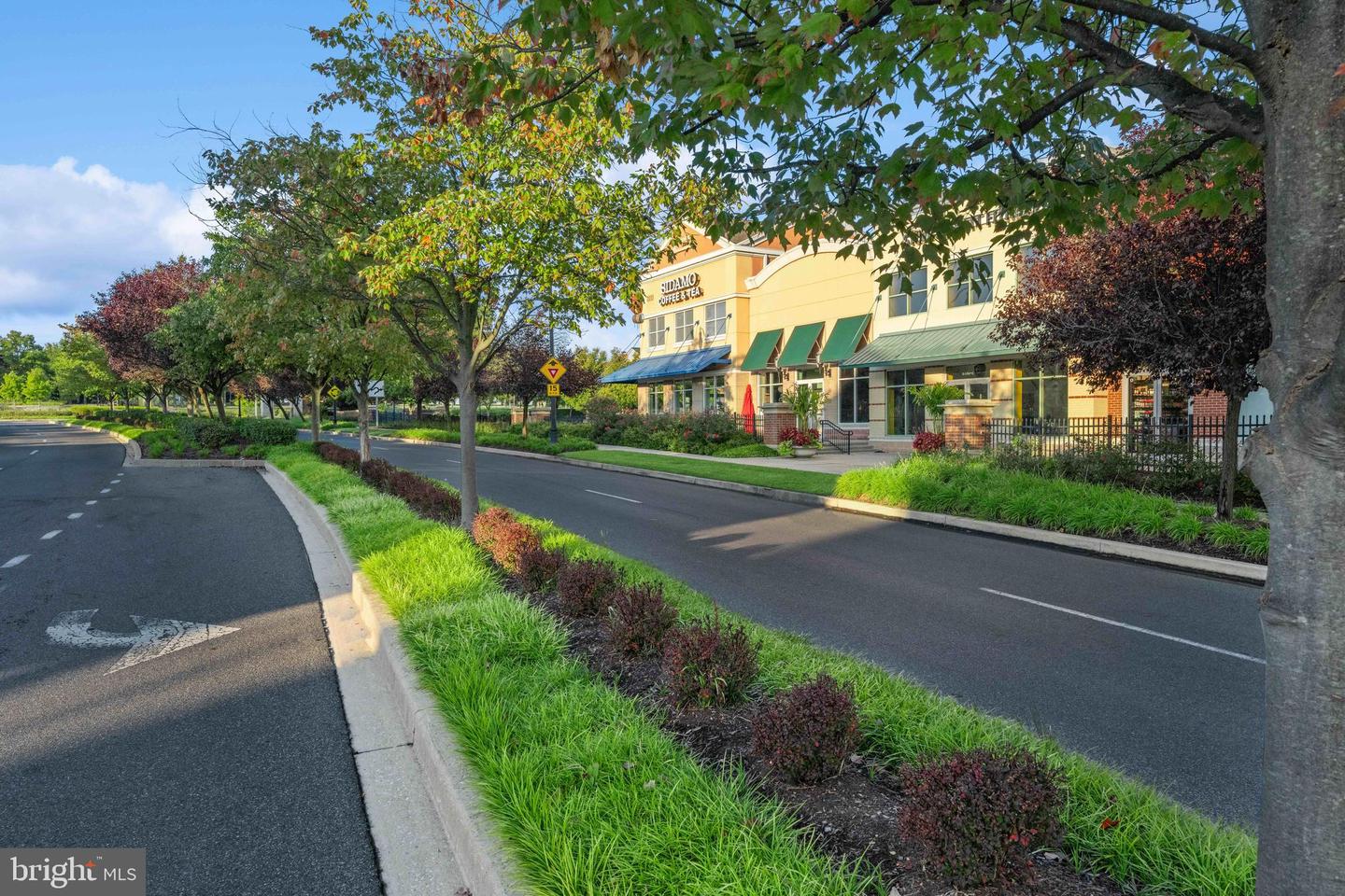 8535 Lallybroch Ln Property Photo 20