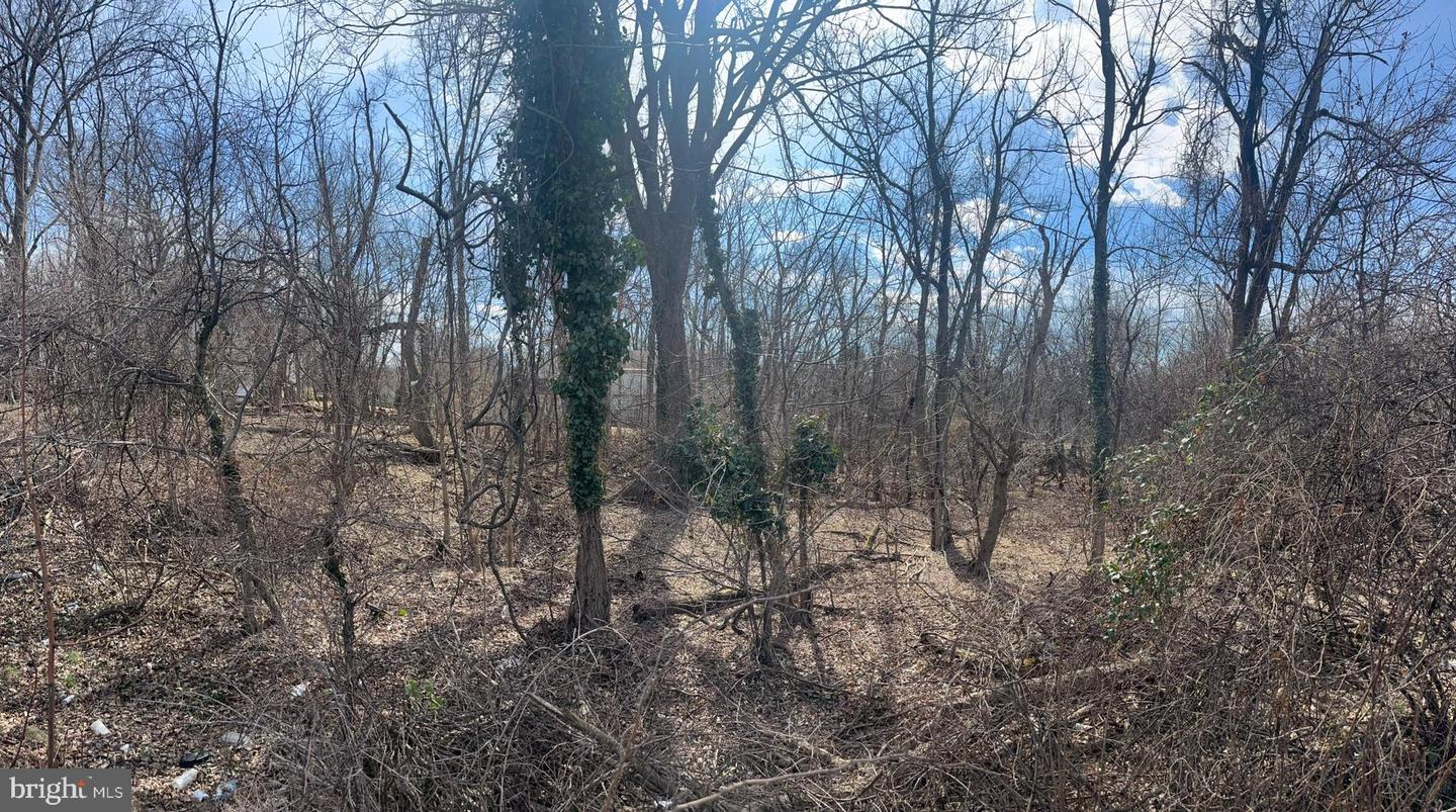 Old Annapolis Rd Property Photo