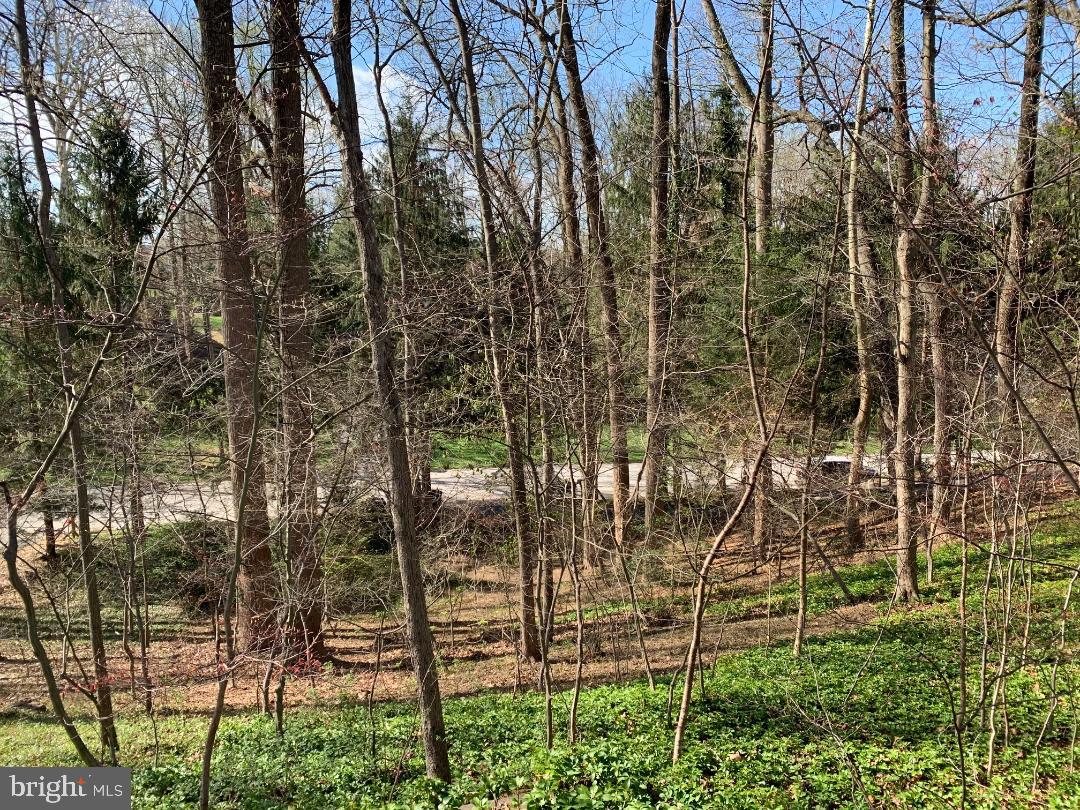 10822 Vista Rd Property Photo 7