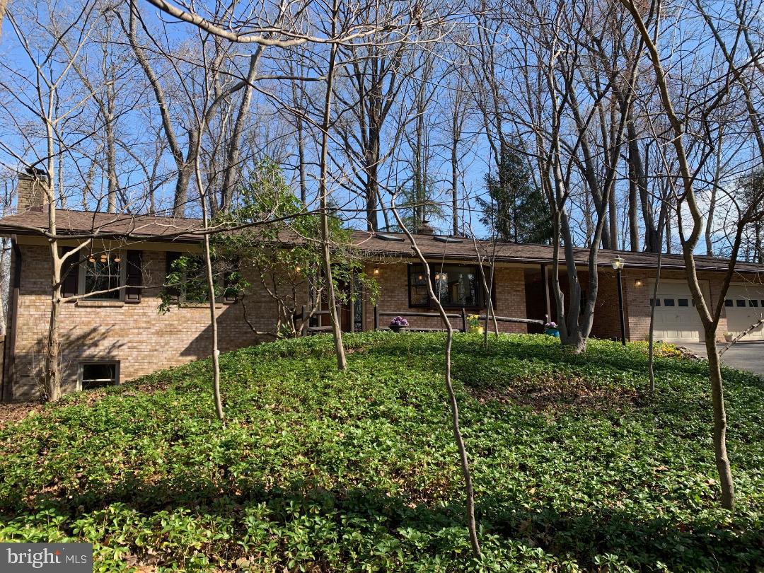 10822 Vista Rd Property Photo 8