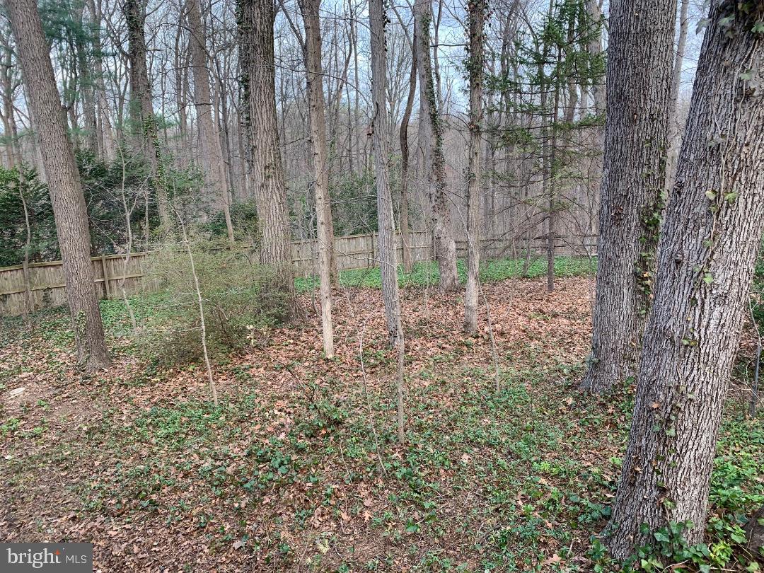 10822 Vista Rd Property Photo 84
