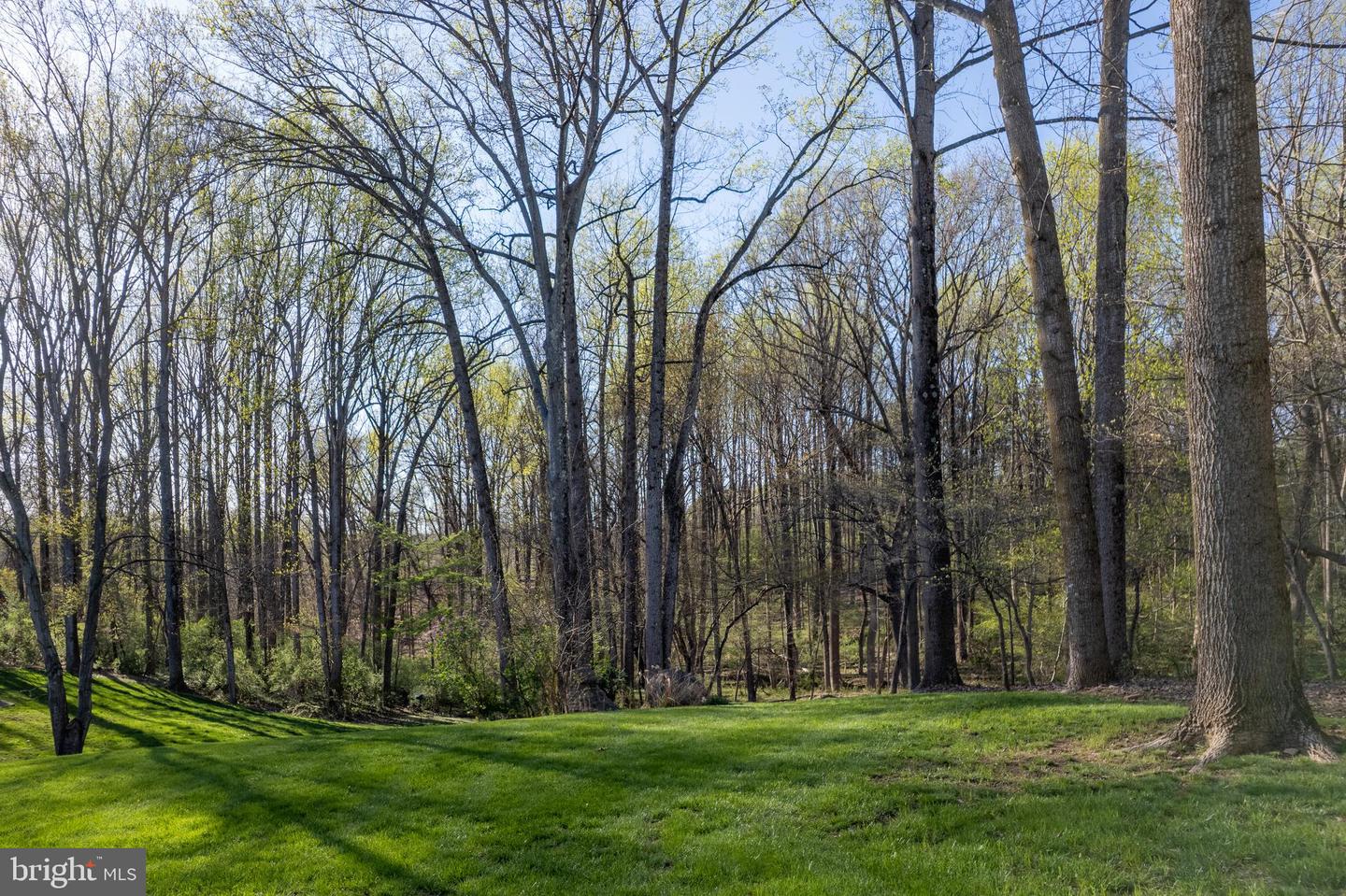 6913 Annabel Ct Property Photo 12