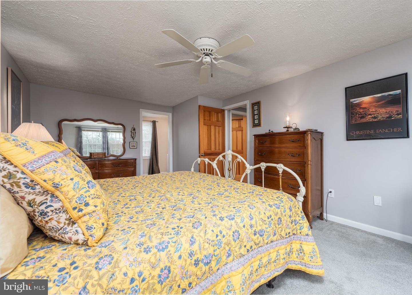 8786 Doves Fly Way Property Photo 16