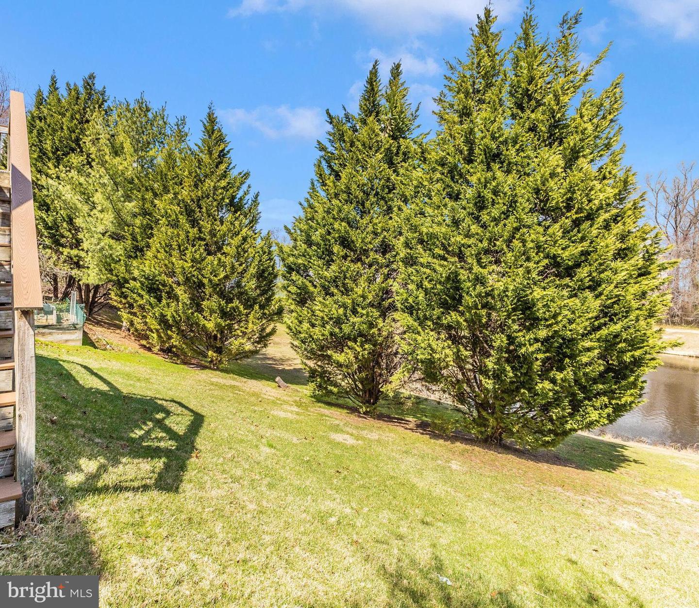 6524 Elderberry Ct Property Photo 43