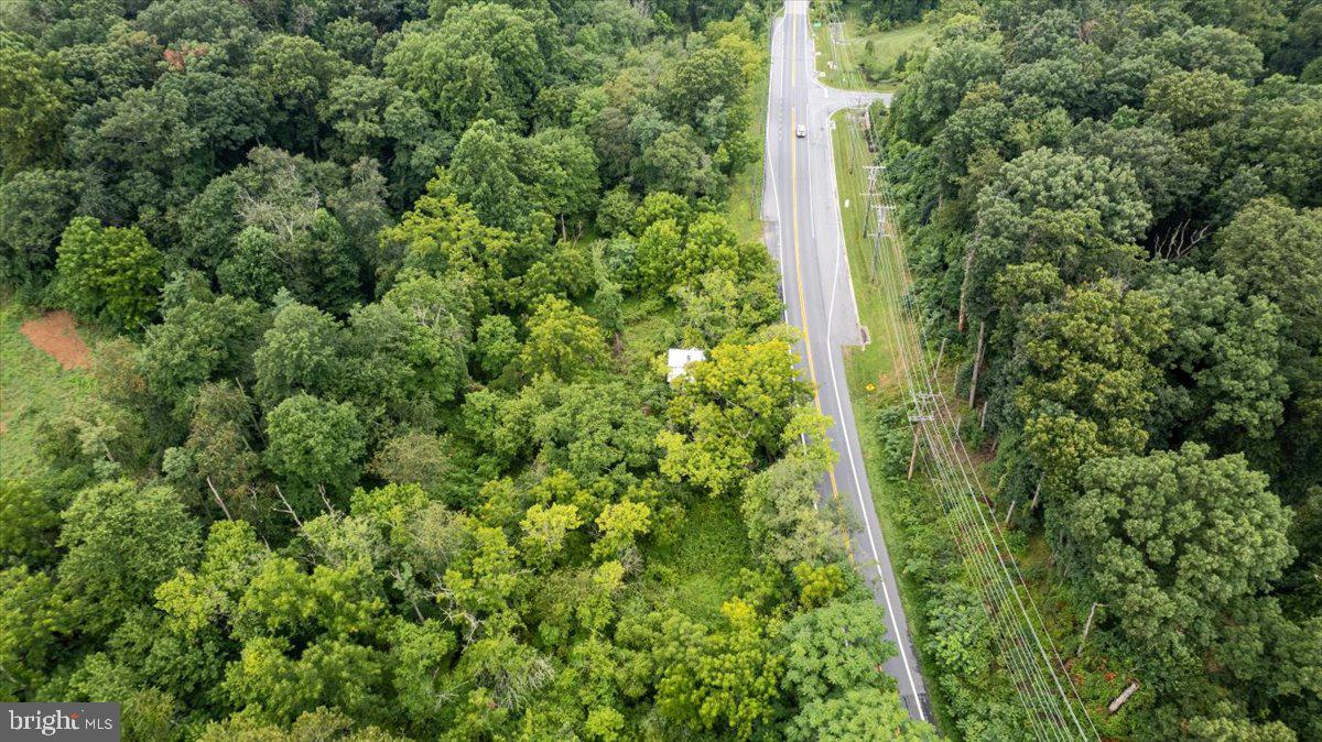 14459 Frederick Rd Property Photo 3