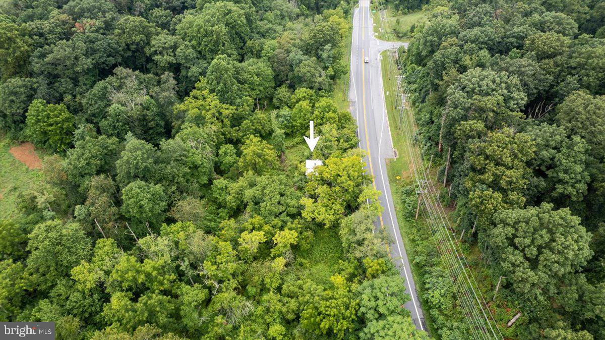 14459 Frederick Rd Property Photo 4