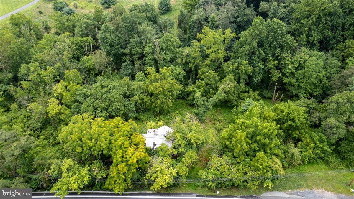 14459 Frederick Rd Property Photo 6