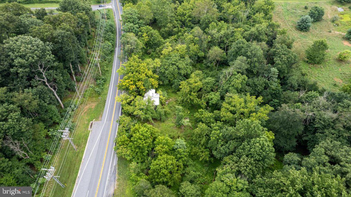 14459 Frederick Rd Property Photo 7