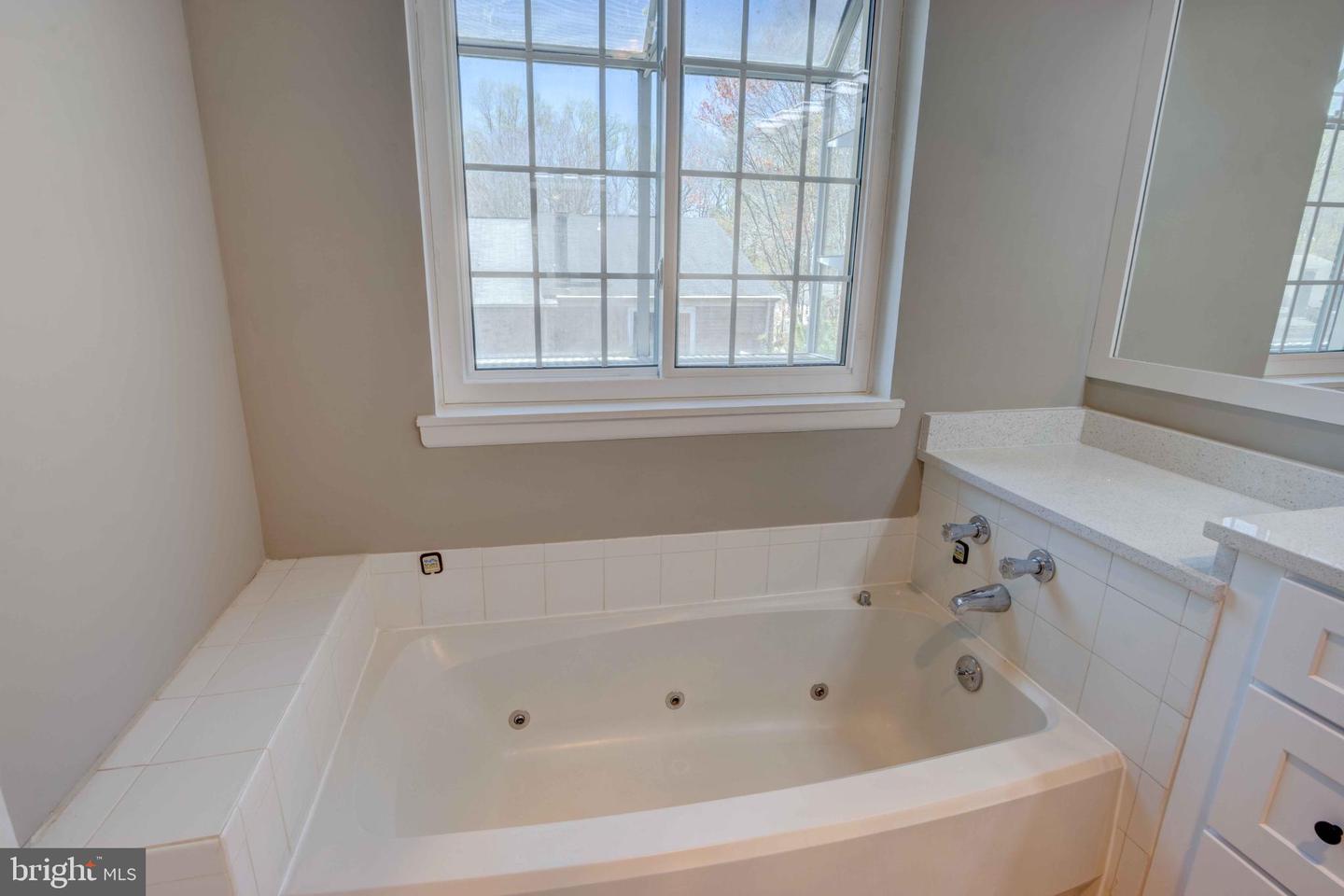 11859 Blue February Way Property Photo 19