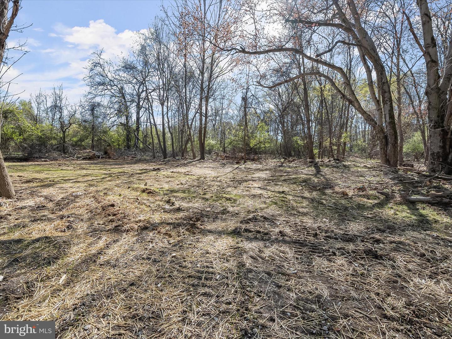 4640 Manor Ln Property Photo 5