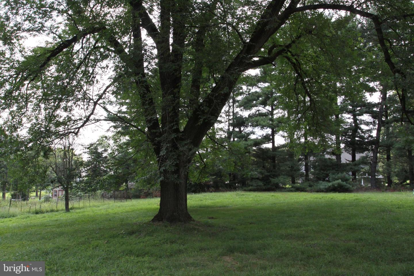4040 Saint Johns Ln Property Photo 4