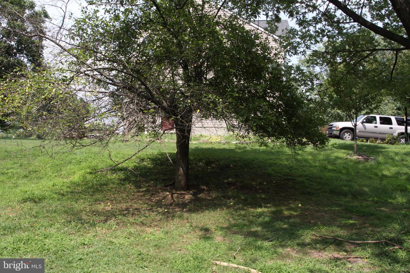4040 Saint Johns Ln Property Photo 5