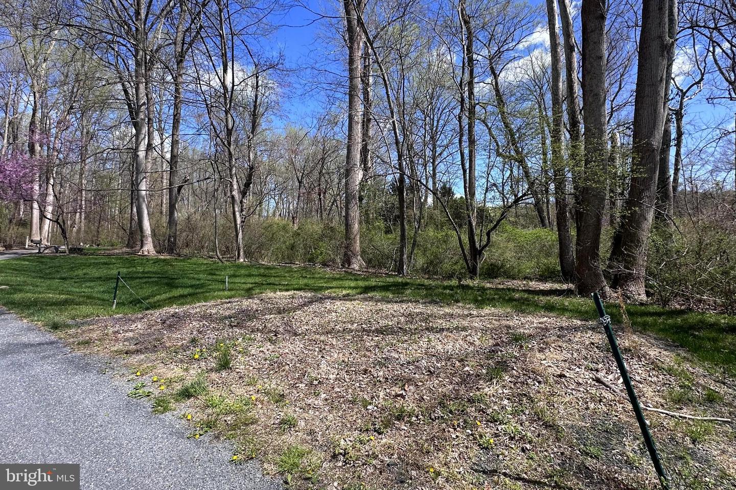 Triadelphia Rd Property Photo 5