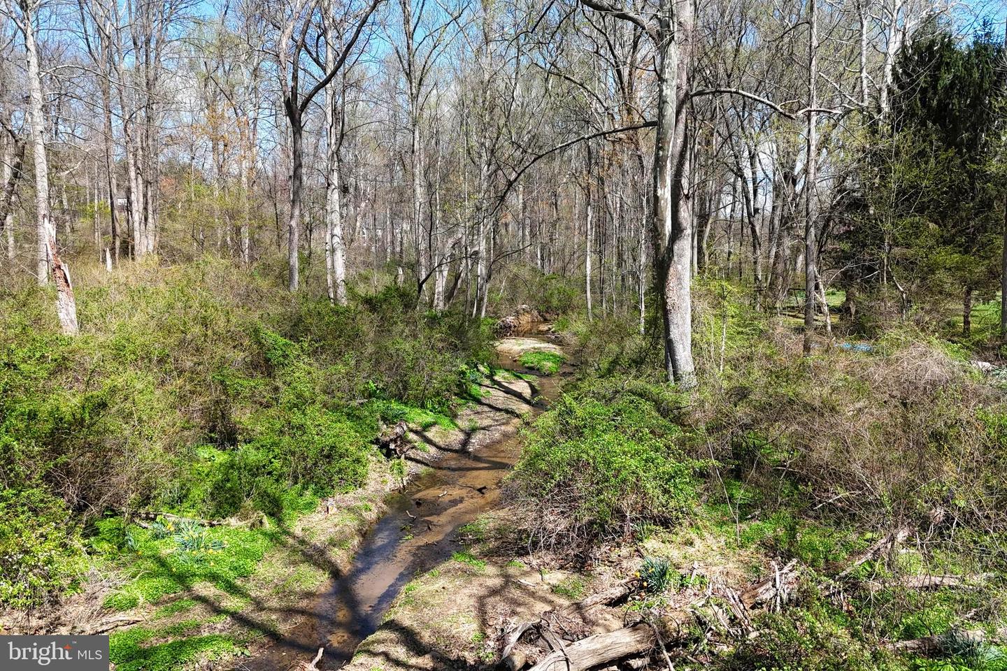 Triadelphia Rd Property Photo 8