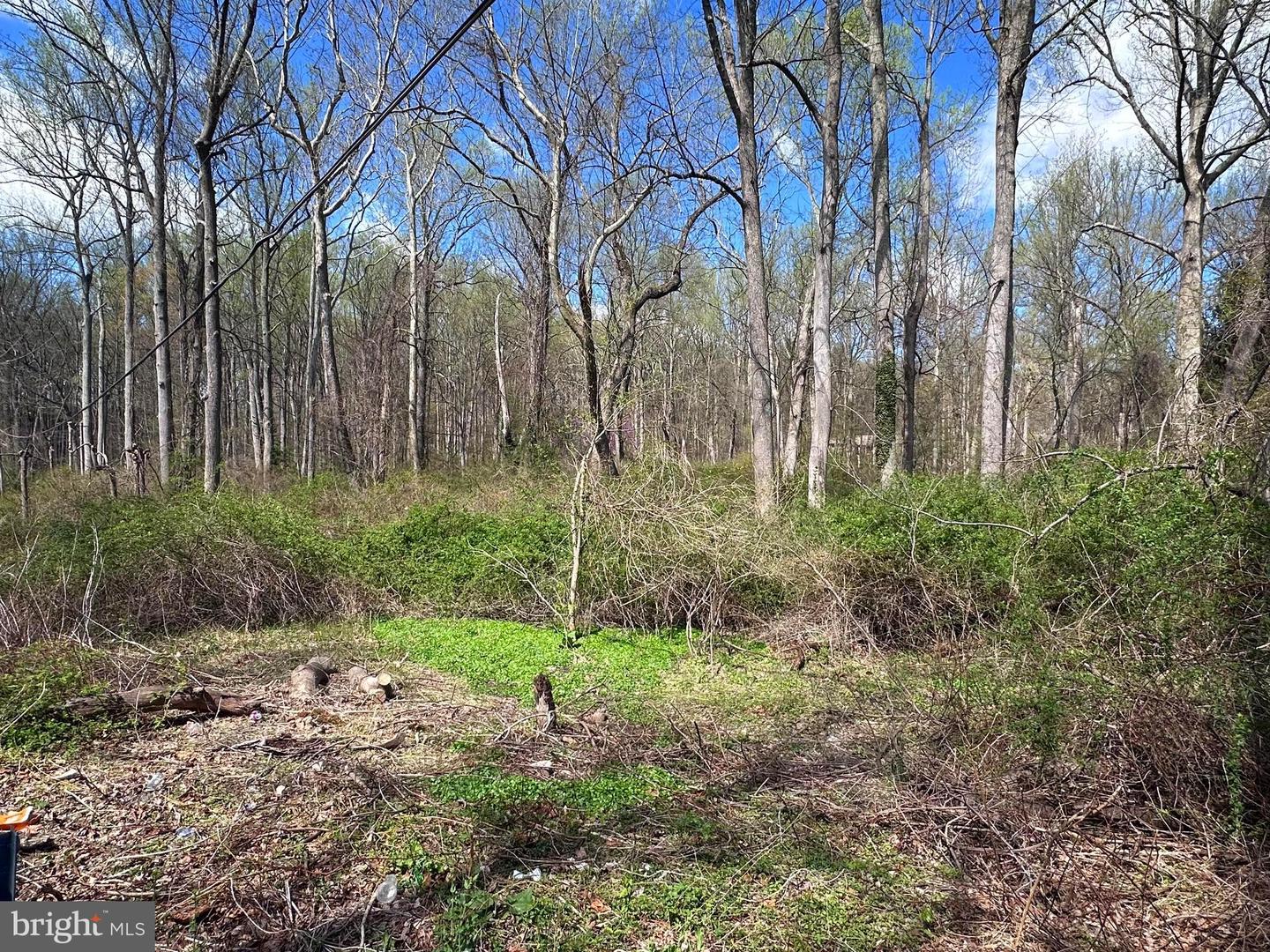 Triadelphia Rd Property Photo 11