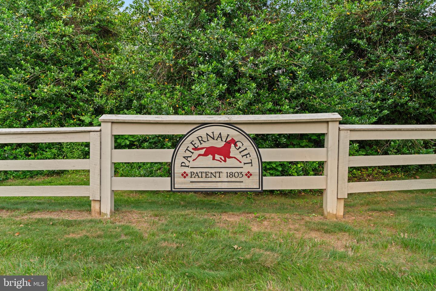 13536 Paternal Gift Dr Property Photo 3