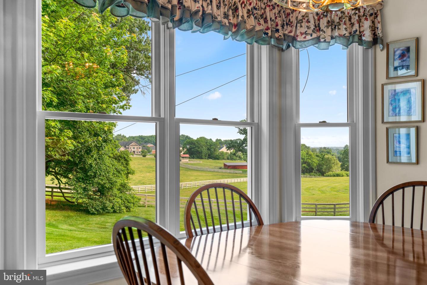 13536 Paternal Gift Dr Property Photo 23