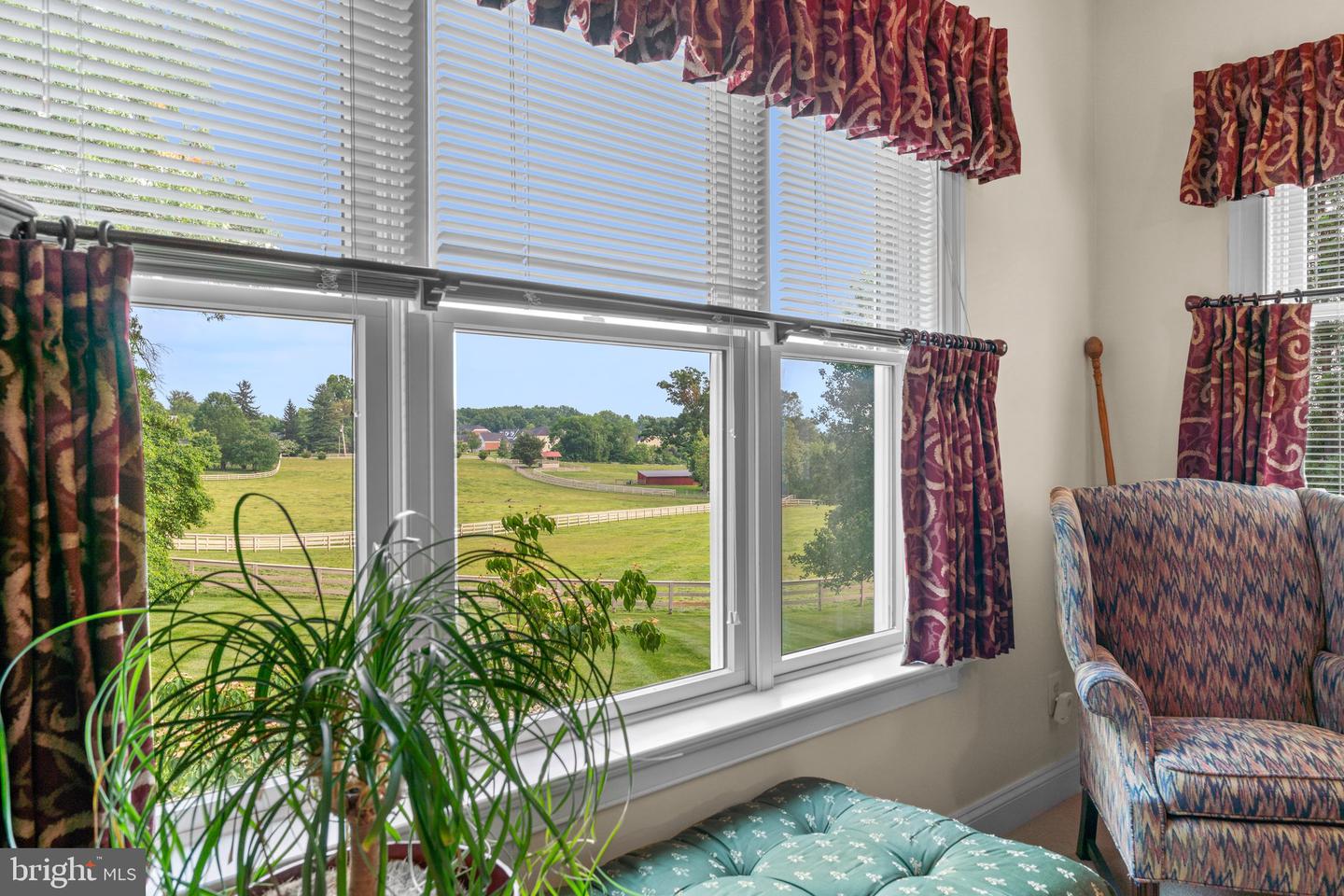 13536 Paternal Gift Dr Property Photo 27