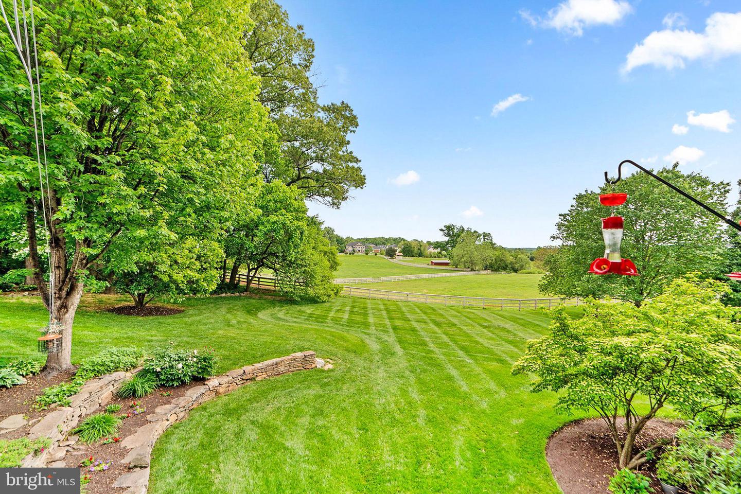 13536 Paternal Gift Dr Property Photo 44