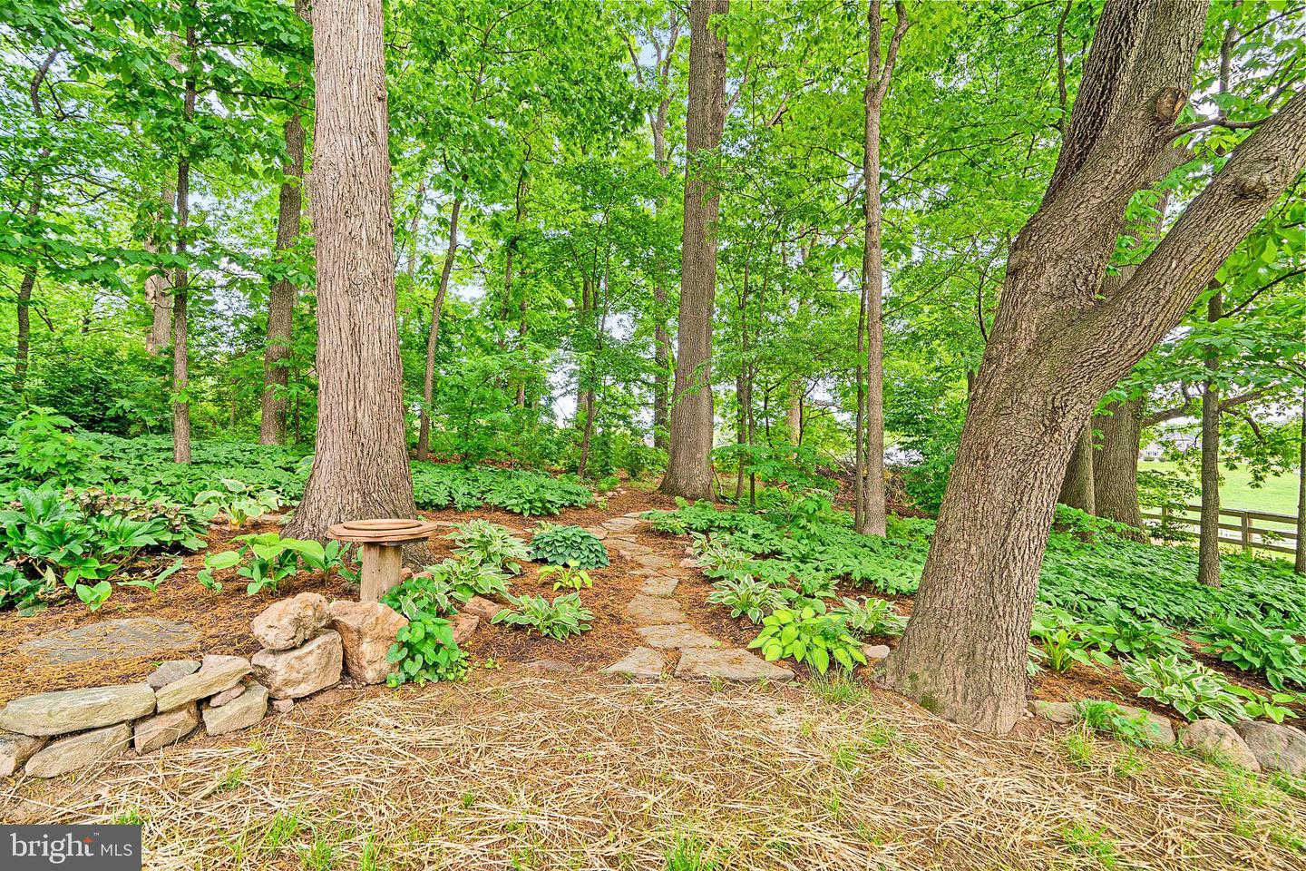 13536 Paternal Gift Dr Property Photo 45