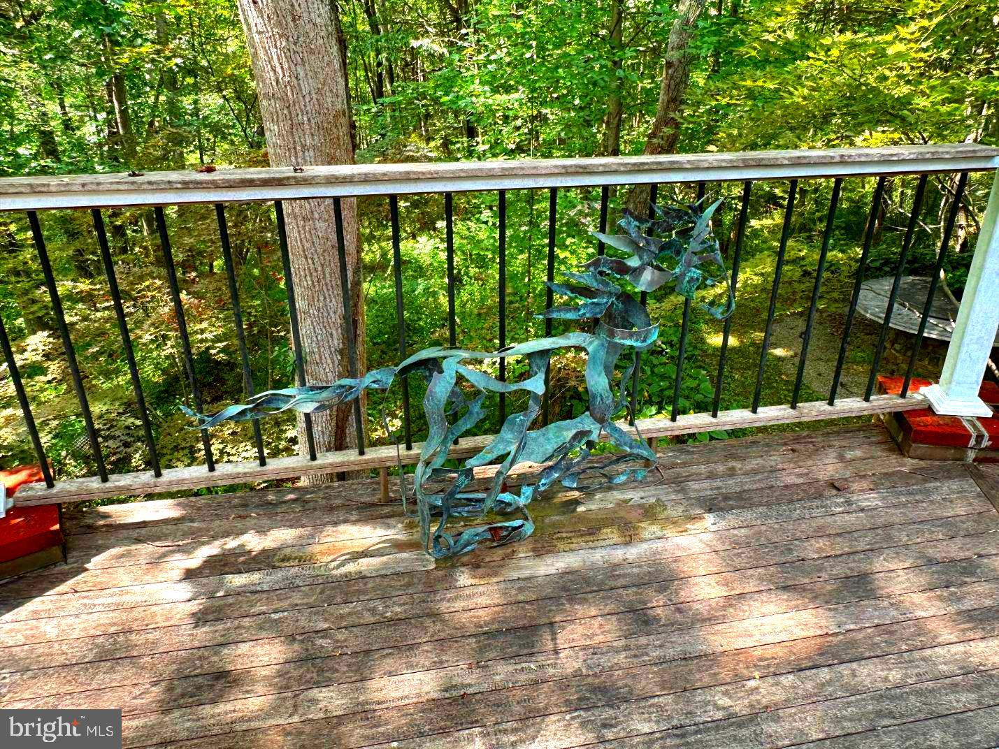 7244 Mink Hollow Rd Property Photo 65