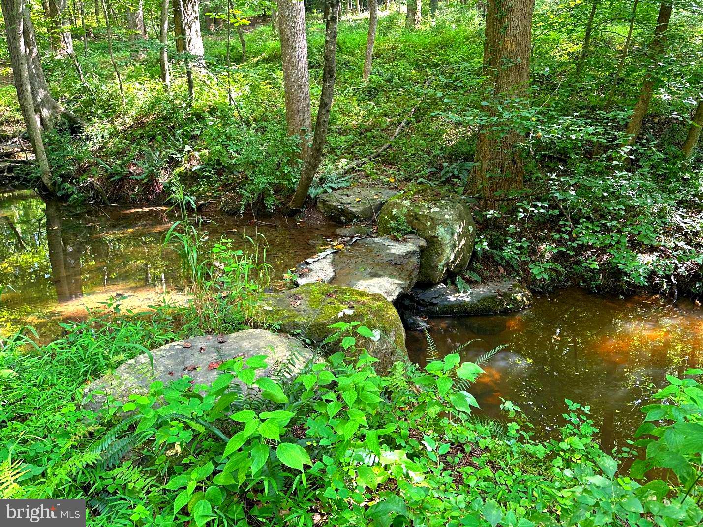 7244 Mink Hollow Rd Property Photo 108
