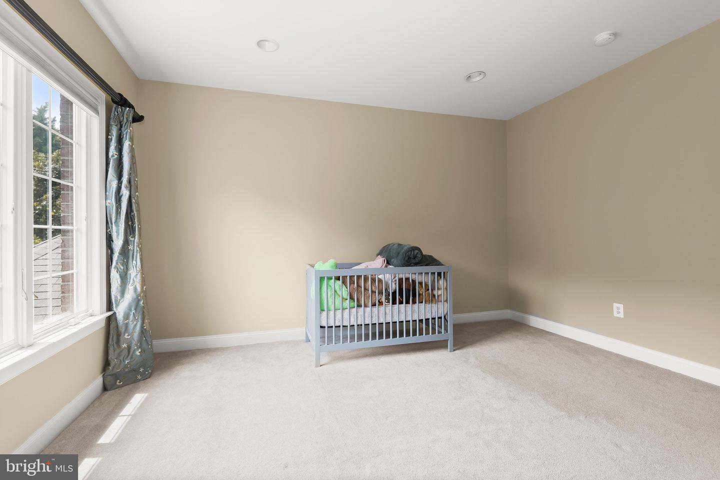 11616 Mirror Pond Ct Property Photo 57